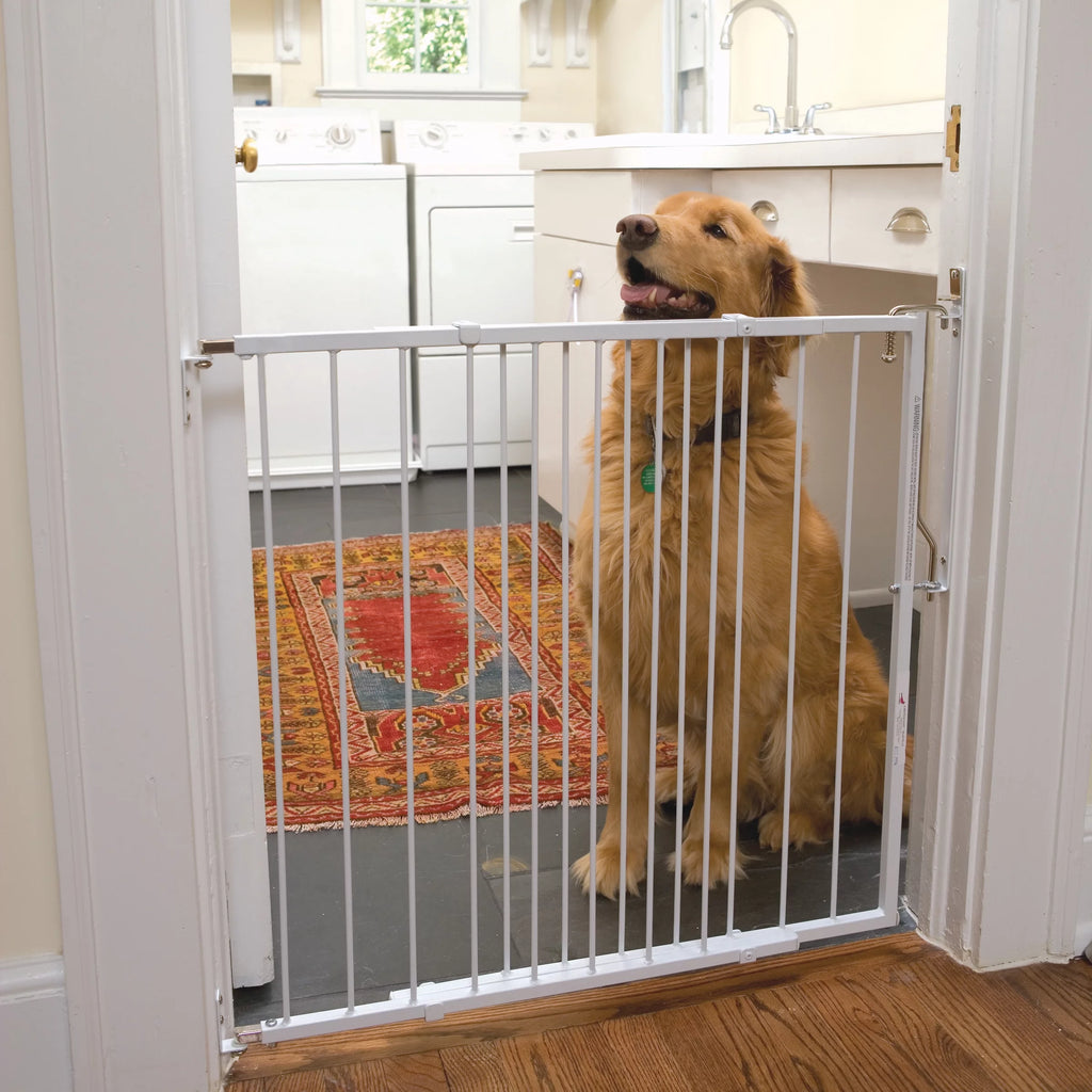 White Pet Safety Gate C819