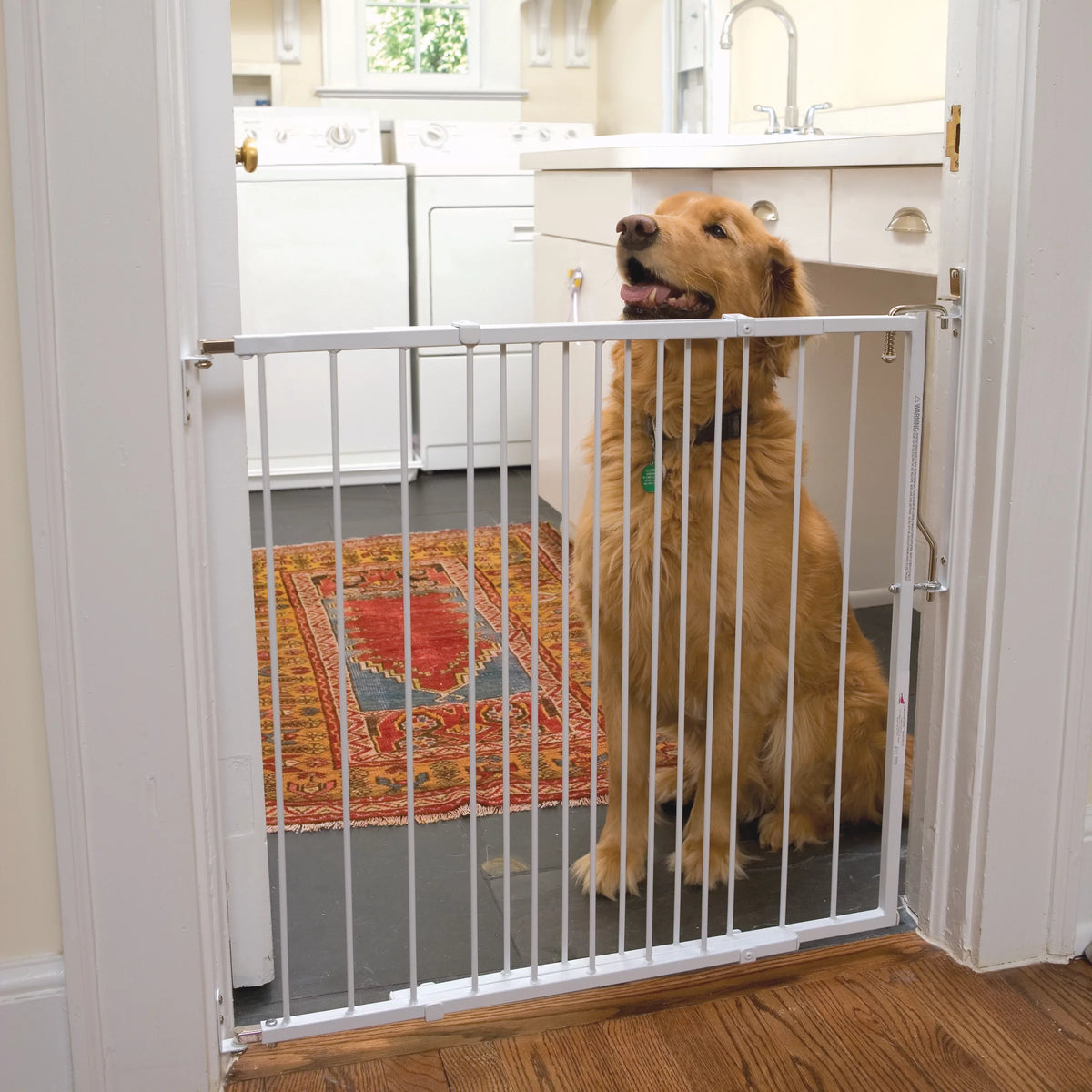 White Pet Safety Gate C819