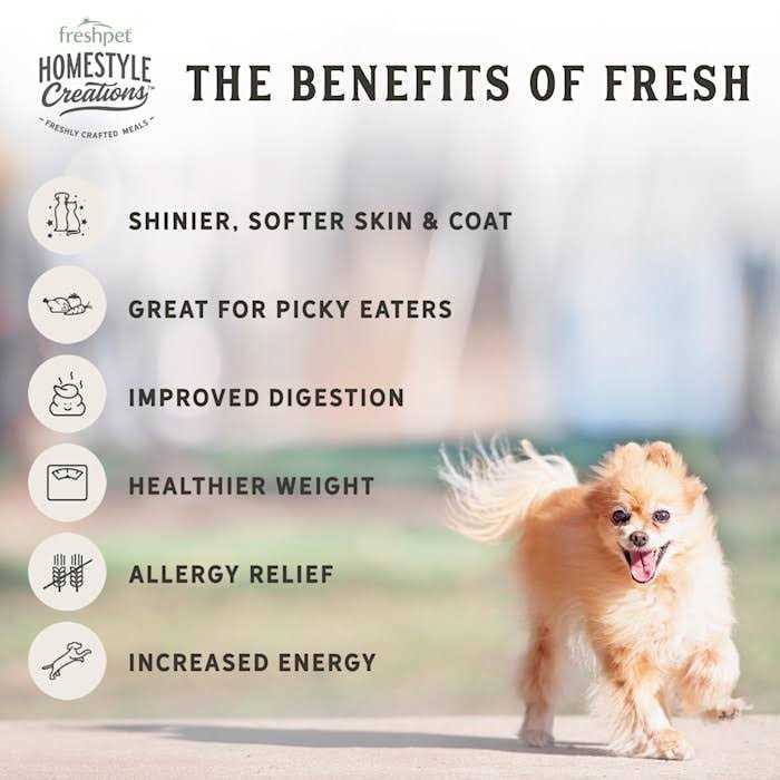 Dog Food Beef Recipe D882