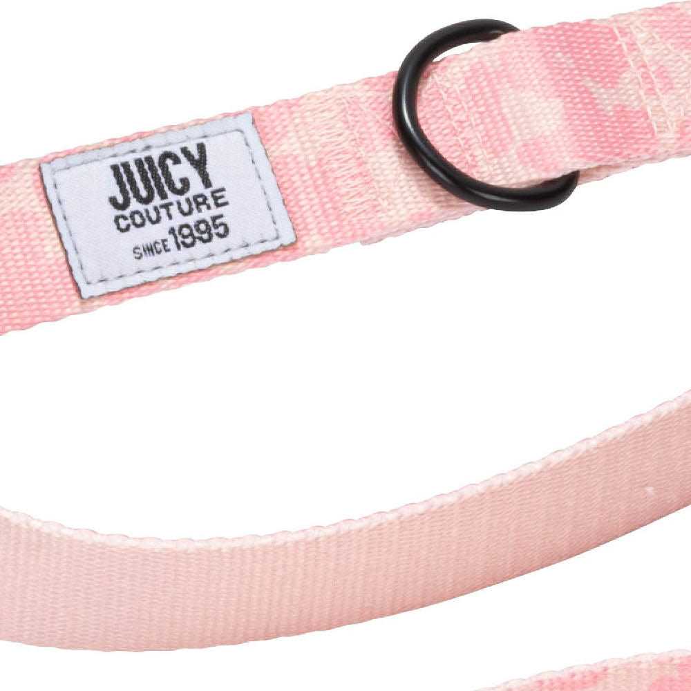 Harness & Leash Set R873856