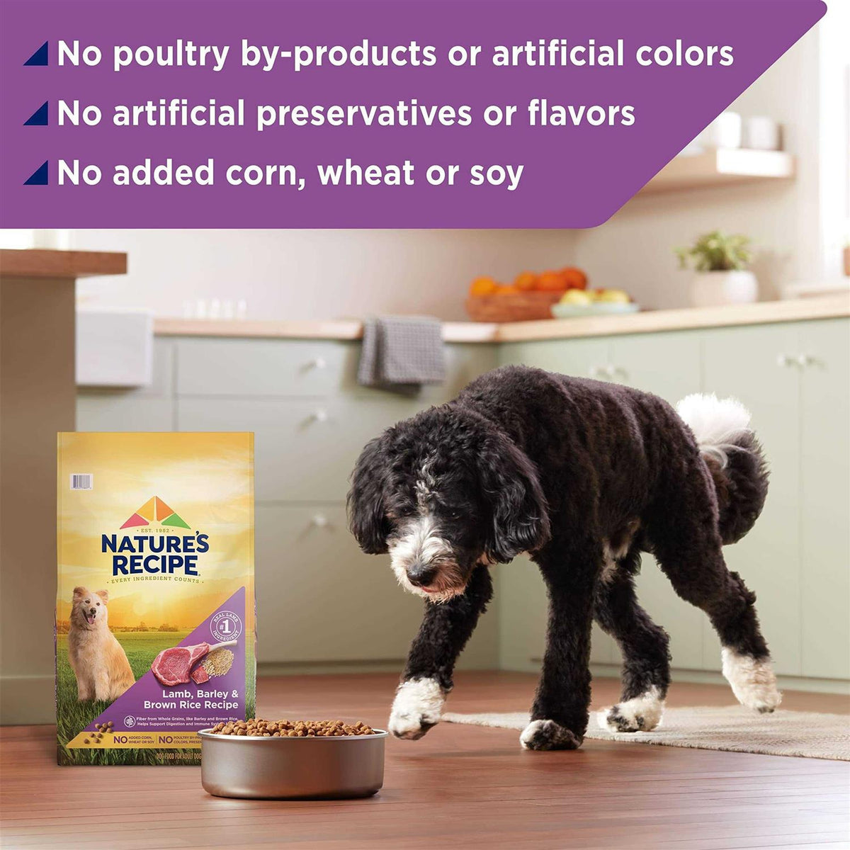 Adult Dry Dog Food A954