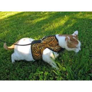 Cat Harness Z441225