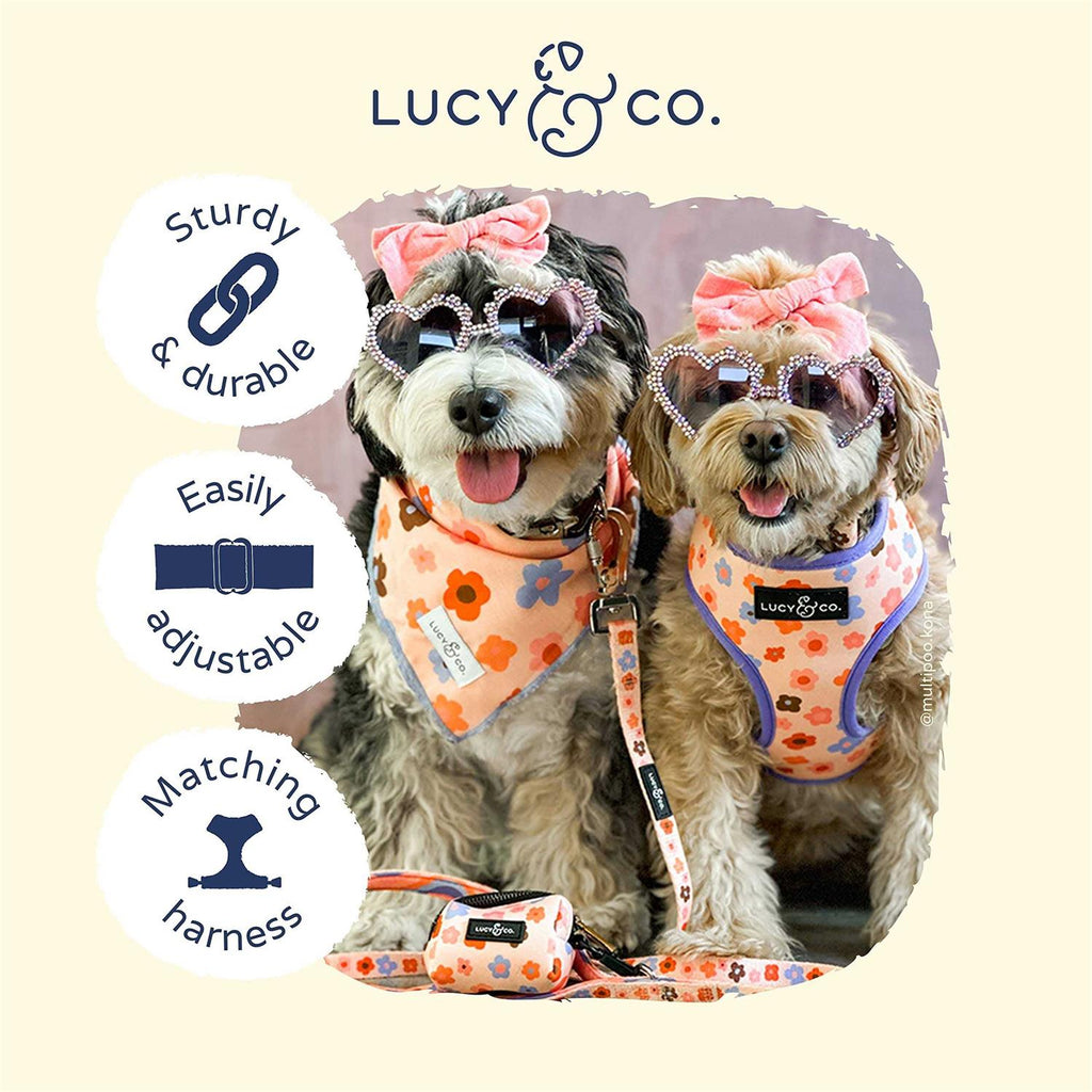 Adjustable Dog Collar W8355