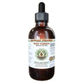 Wild Carrot Dried Seed Glycerite Herbal Supplement 2oz P2964