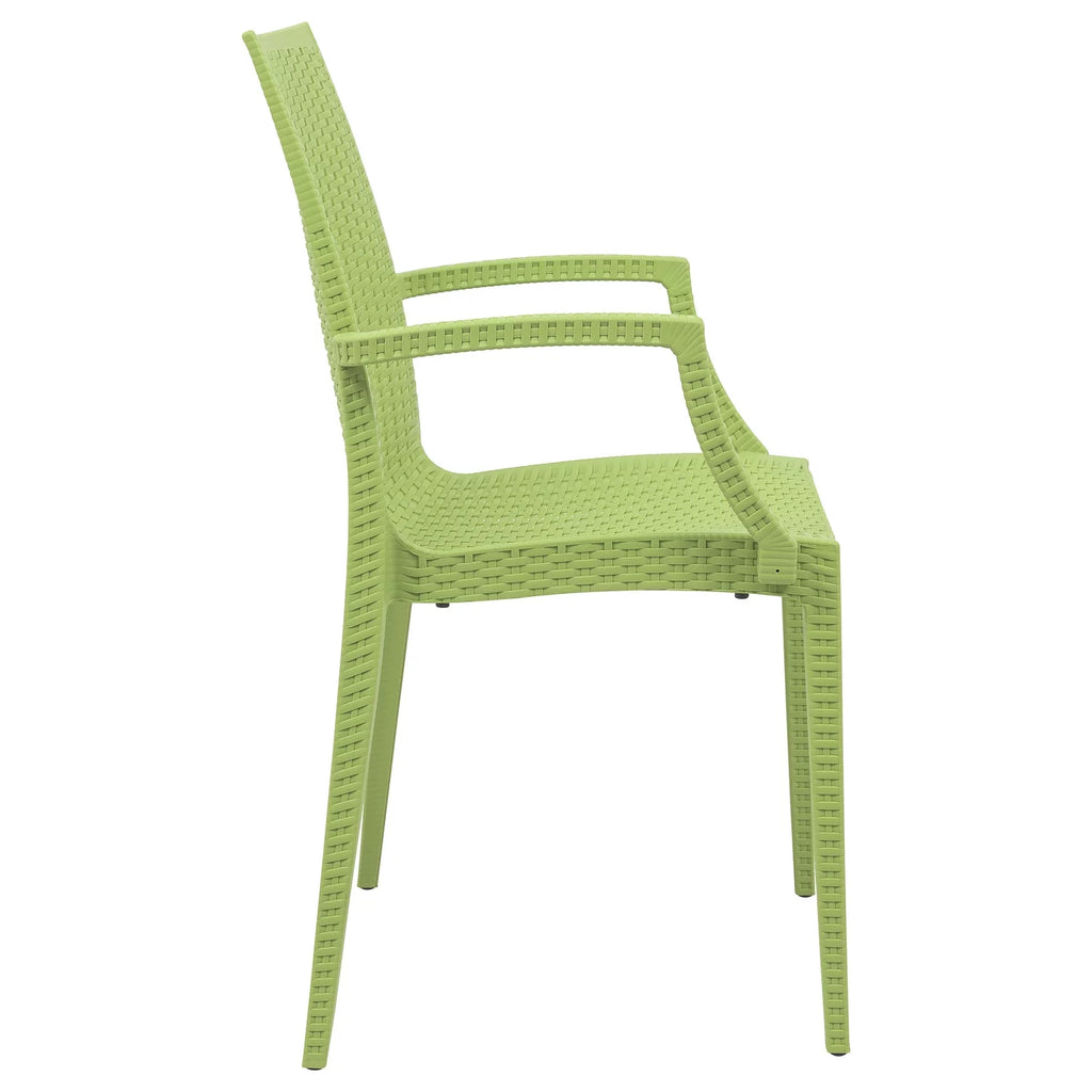 Indoor/Outdoor Chair D3491