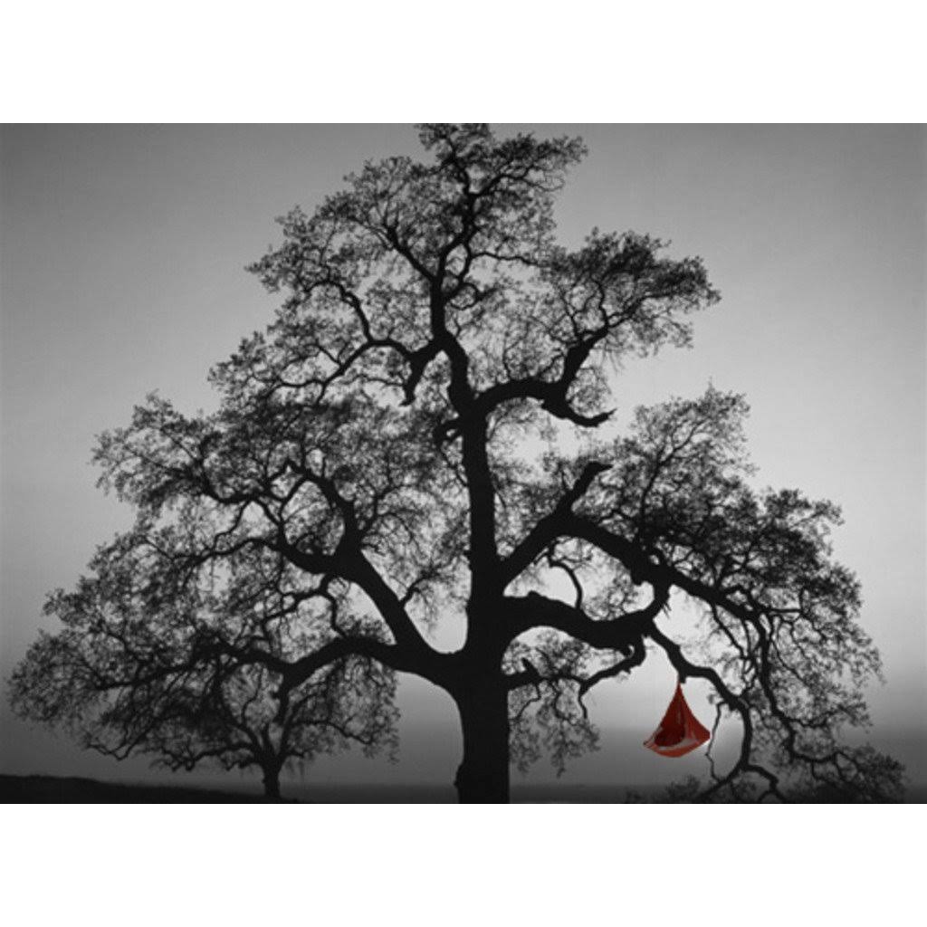 Single Hammock J89458