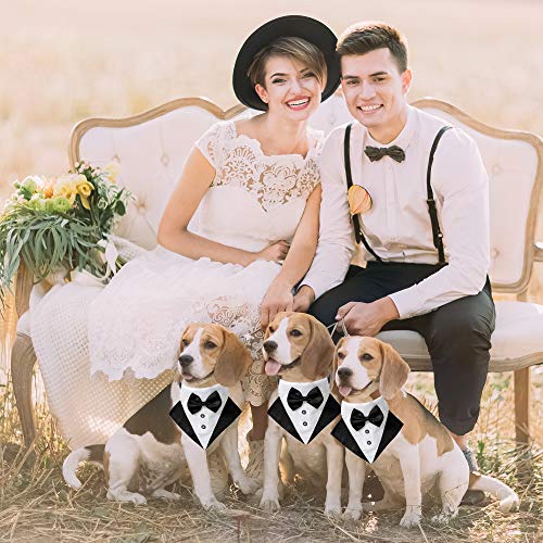 Black Adjustable Dog Collar with Bow Tie L428944