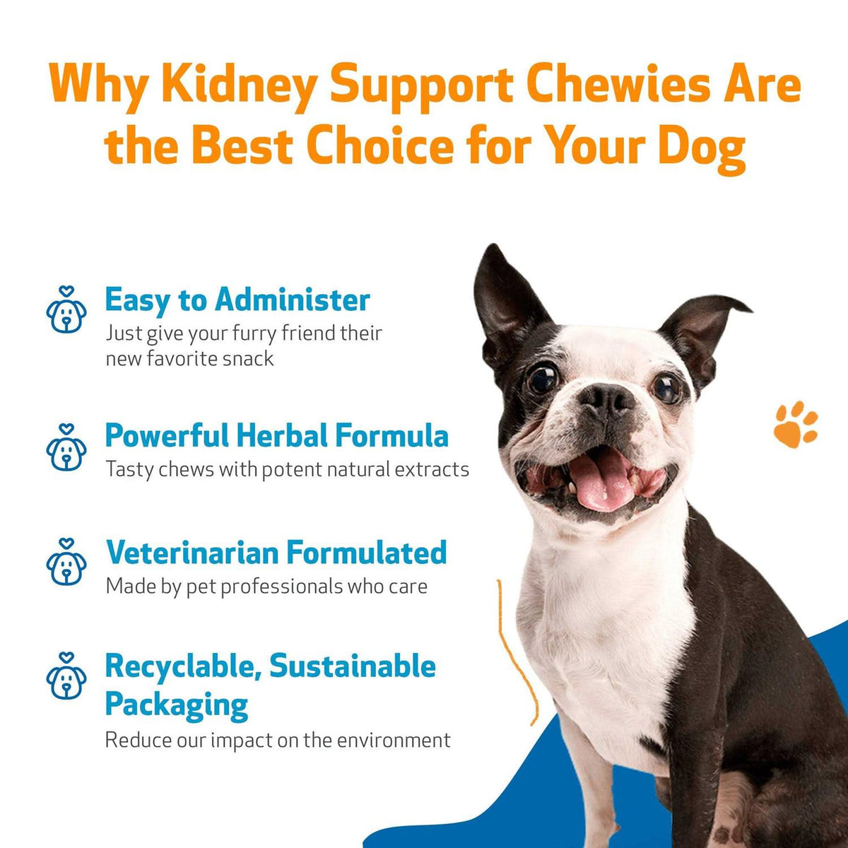 Kidney Support Chewies for Dogs M625
