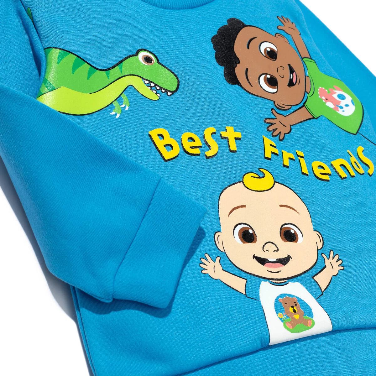 Toddler Boys Fleece Pullover Sweatshirt and Pants Set O53657