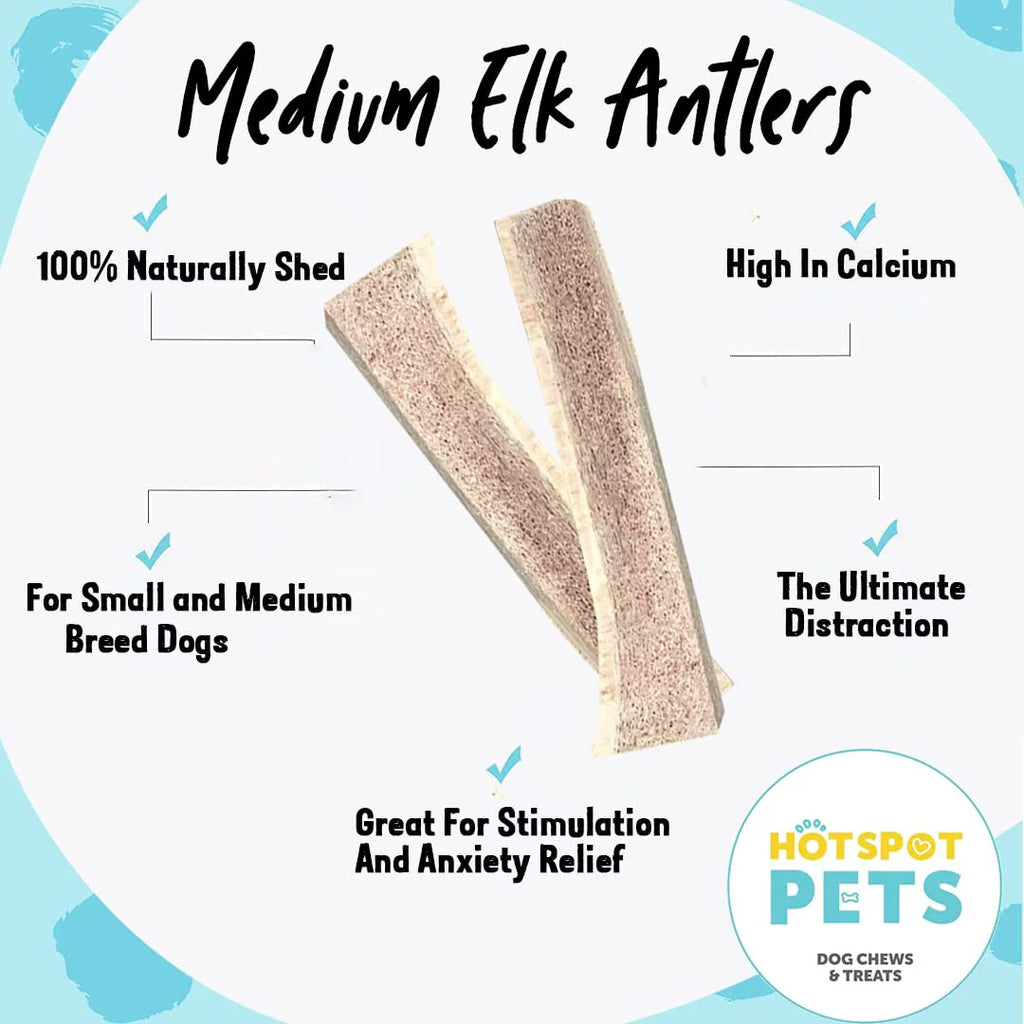 6 Inch Naturally Shed Elk Antler Dog Chews 3 Pack T43349