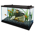 10 Gallon Glass LED Aquarium Kit Y3170
