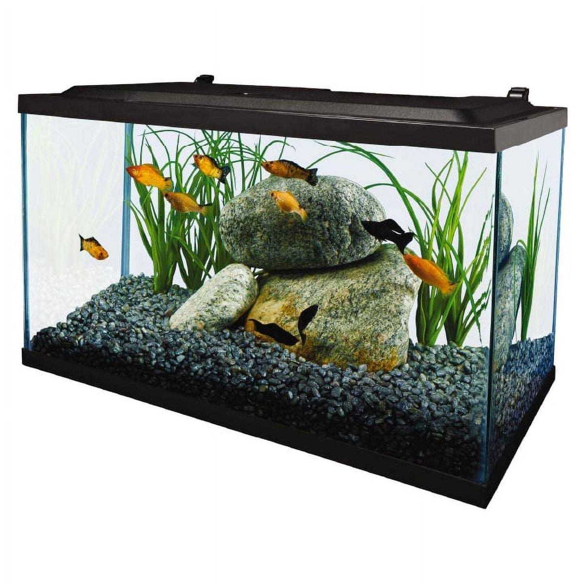 10 Gallon Glass LED Aquarium Kit Y3170
