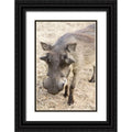 Black Ornate Wood Framed Art Print X106