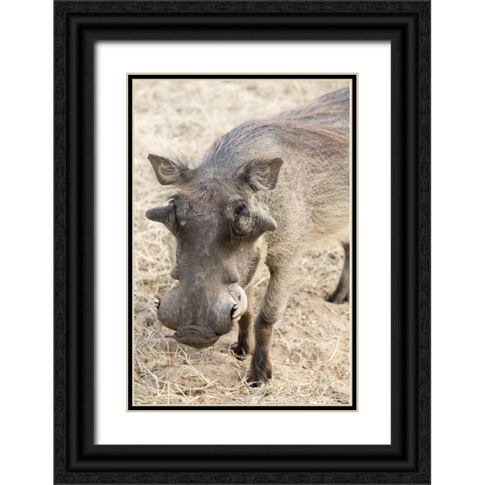 Black Ornate Wood Framed Art Print X106