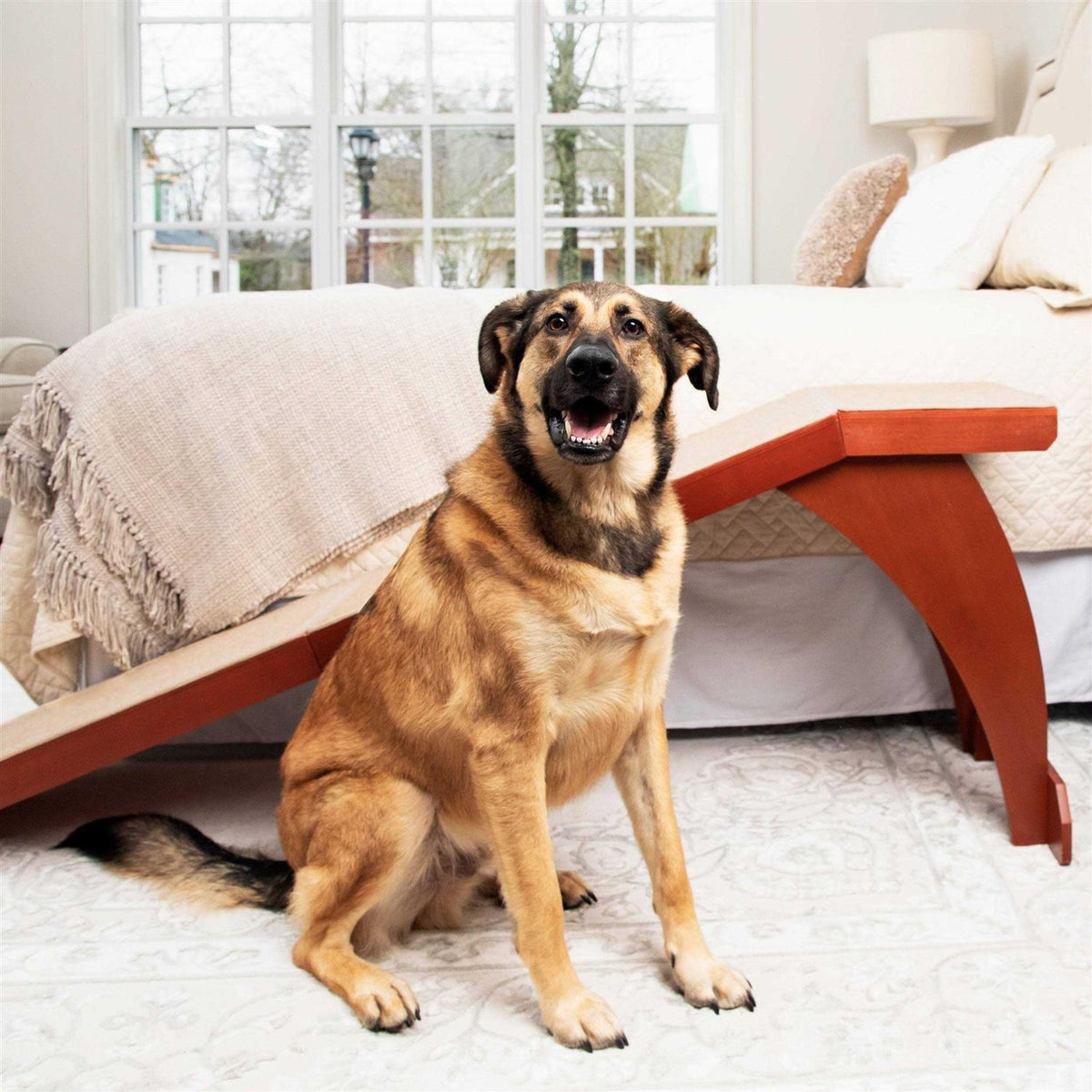 Bed Ramp H3819
