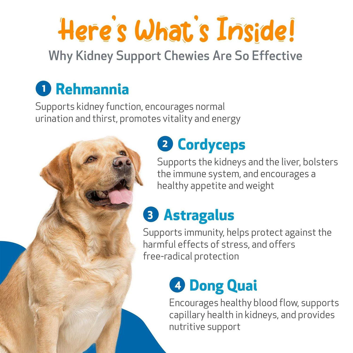 Kidney Support Chewies for Dogs M625