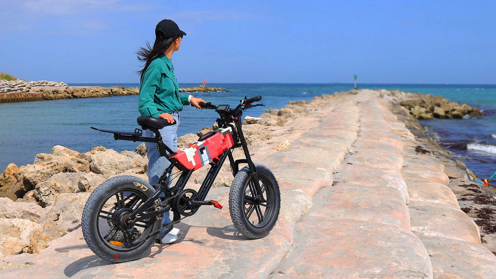 Fat Tire eBike W846