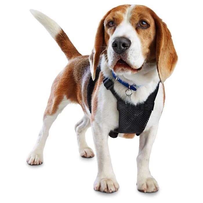 Black No Pull Dog Harness A8190