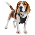 Black No Pull Dog Harness A8190
