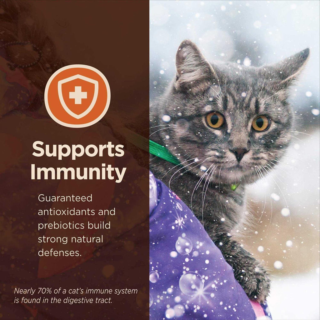 Chicken & Rice Dry Cat Food J594353