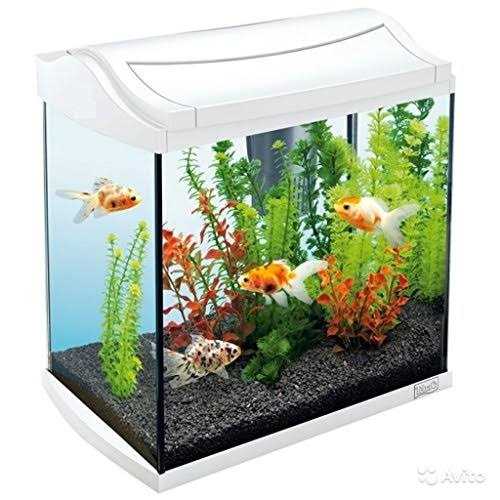 Aquarium Gravel A6678