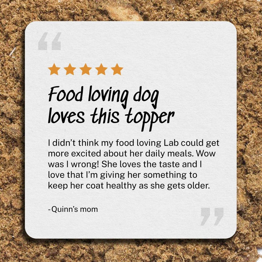 Beef Dog Food S413
