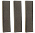 True HEPA Filter C Replacement 3 Packs A73756