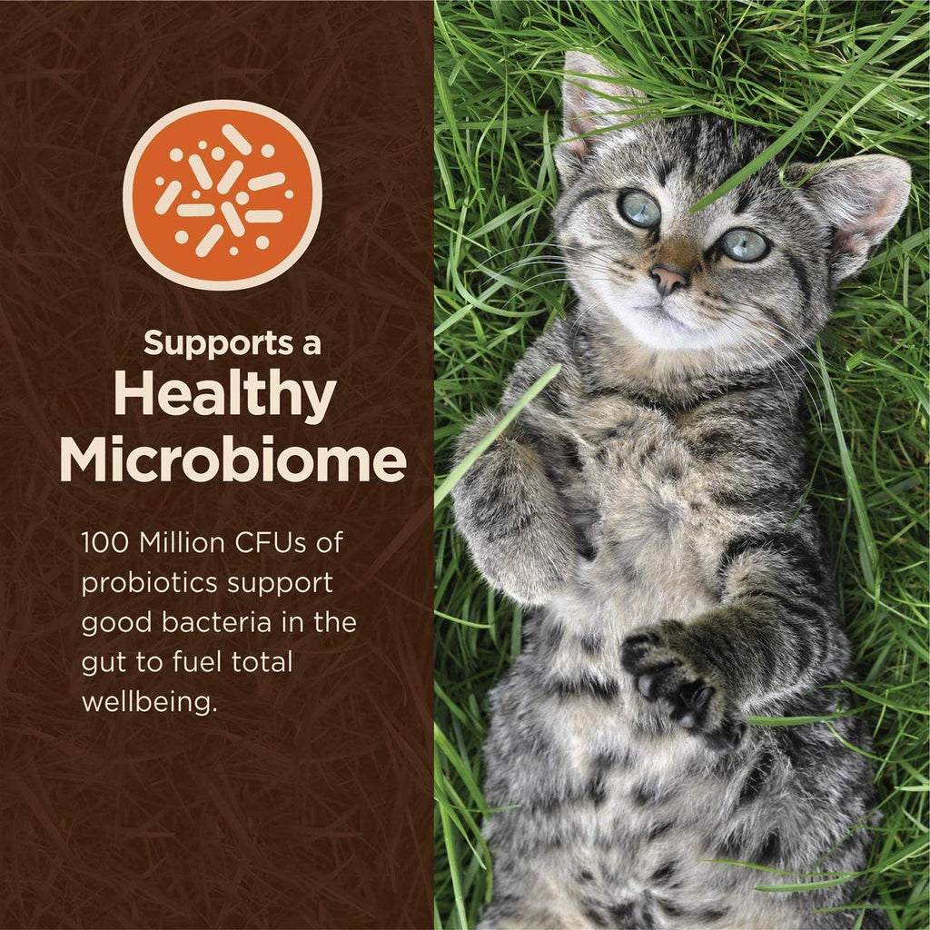 Chicken & Rice Dry Cat Food J594353