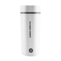 Portable Electric Kettle 350ML Stainless Steel V506799
