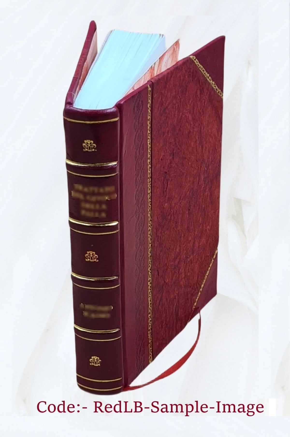 Leather Bound S863659