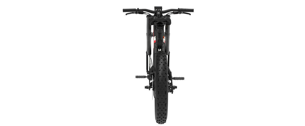 Fat Tire eBike W846