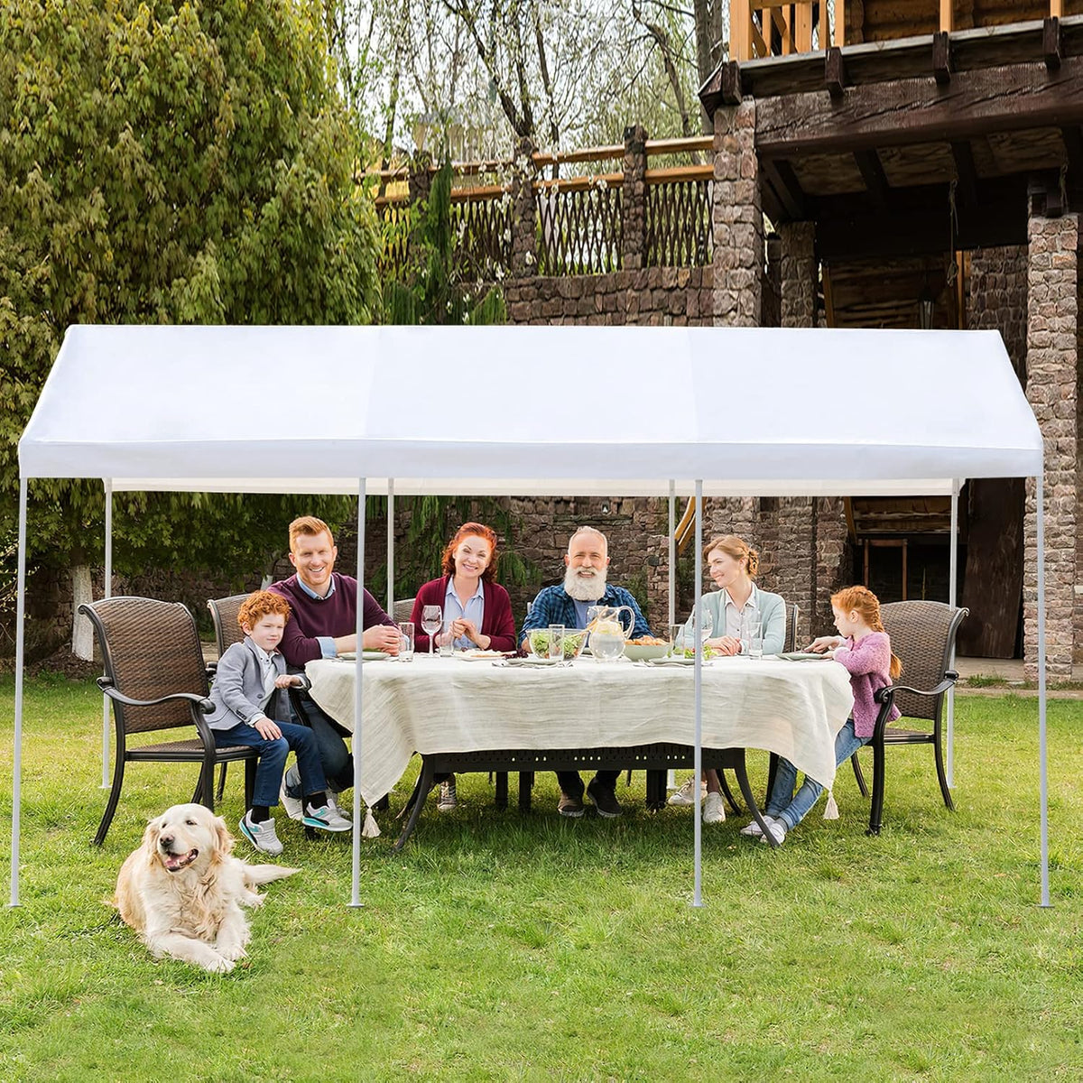 10x20 ft Heavy Duty Carport with Removable Sidewalls & Doors G954