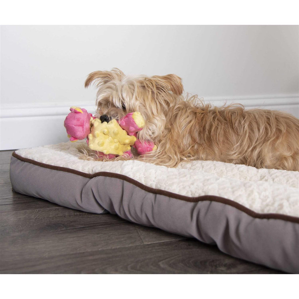 Dog Toy Q292625