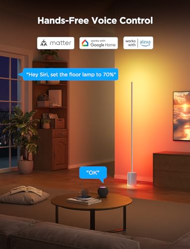 Smart RGBIC LED Floor Lamp C18416