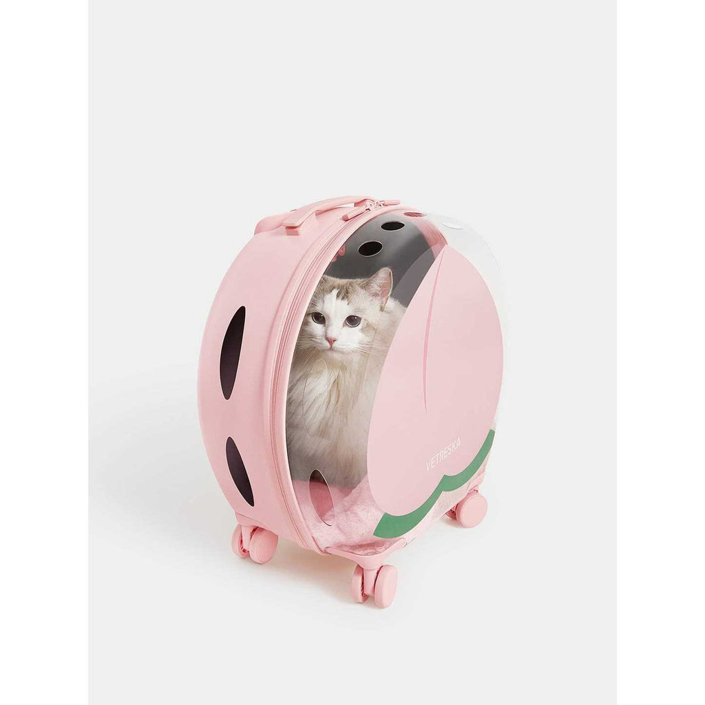 Dog & Cat Carrier V7162