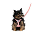 Harness & Leash Set R873856