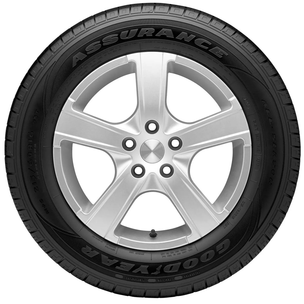 205/55R16 91H All-Season Passenger Tire R1840
