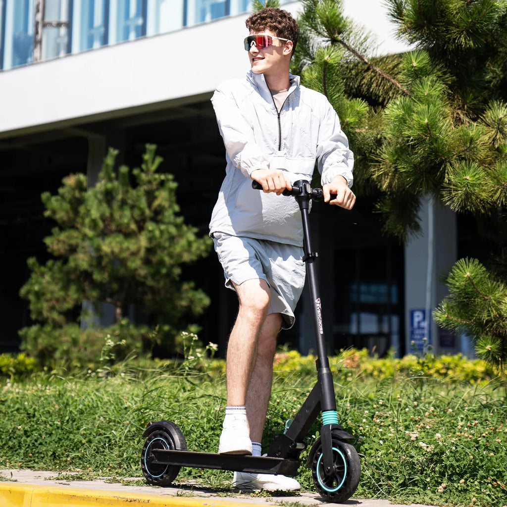 Electric Scooter 350W Motor Foldable D135