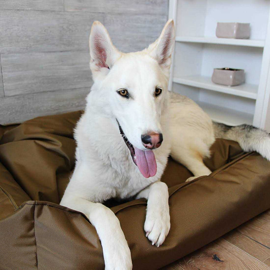 Ballistic Dog Bed G94544