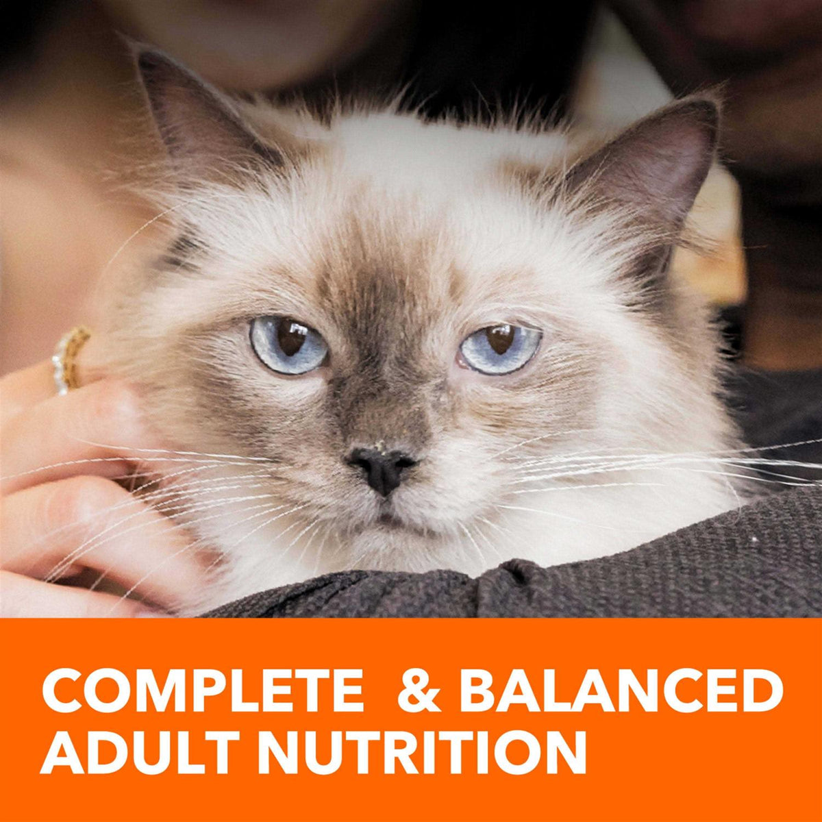 Adult Cat Food L188205