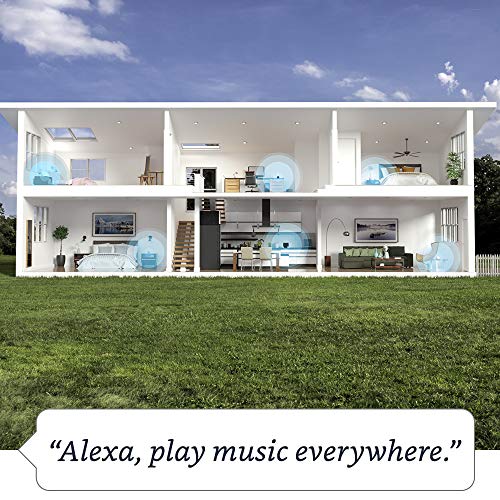 Charcoal Alexa Speaker Y9255