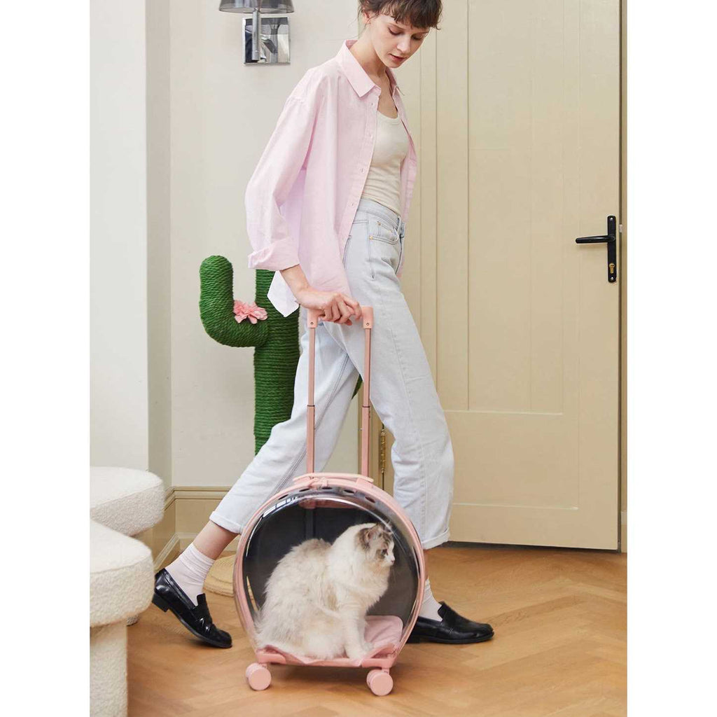 Dog & Cat Carrier V7162