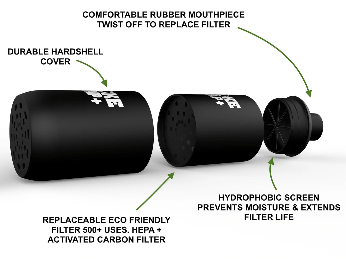 Personal Air Filter with Replaceable Filters P946