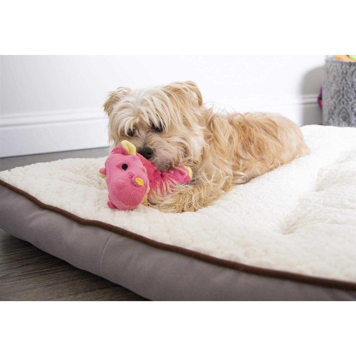Dog Toy Q292625
