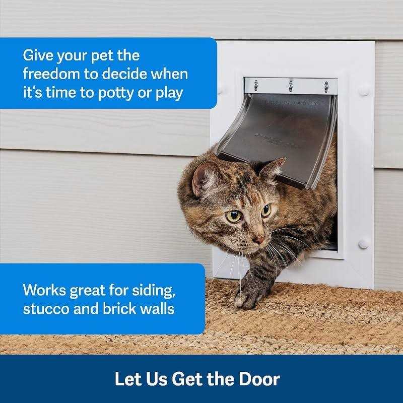 Wall Entry Pet Door Y4211