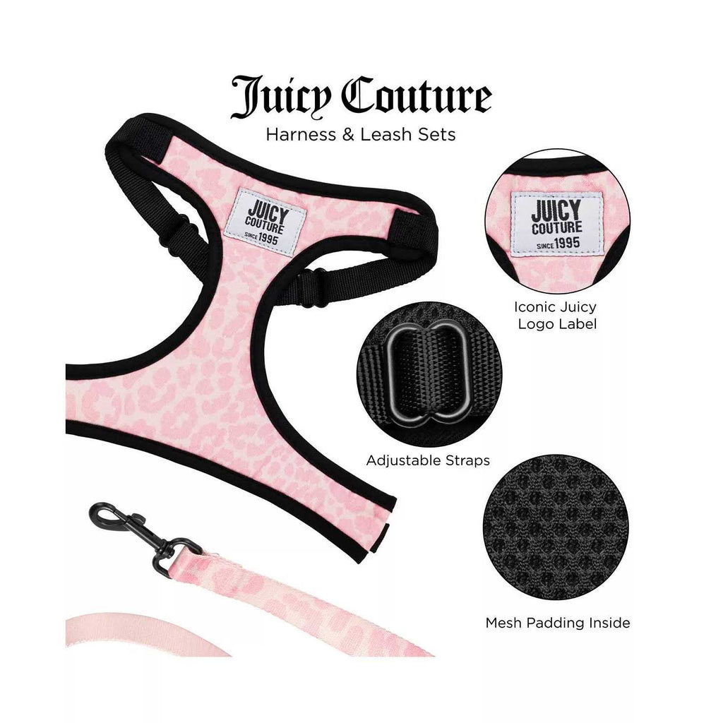 Harness & Leash Set R873856