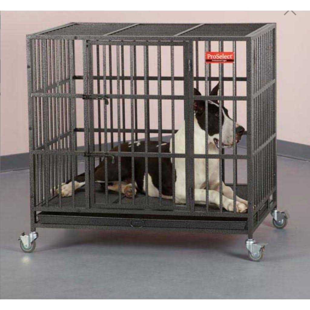 Dog Cage Z43287