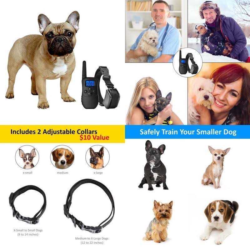 Shock Collar for Small Dogs with Remote N36689