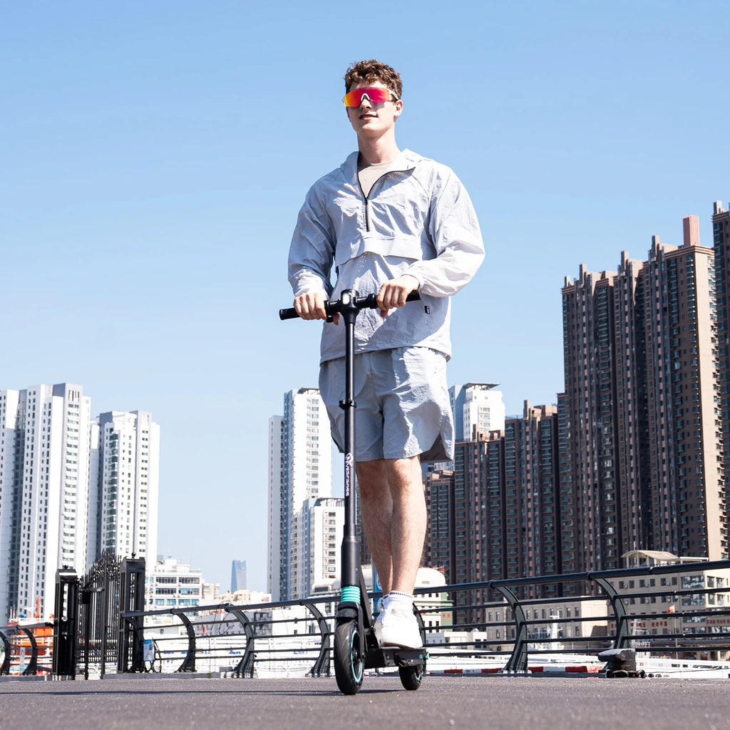 Electric Scooter 350W Motor Foldable D135
