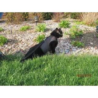 Cat Harness Z441225